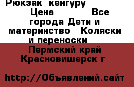 Рюкзак -кенгуру Baby Bjorn  › Цена ­ 2 000 - Все города Дети и материнство » Коляски и переноски   . Пермский край,Красновишерск г.